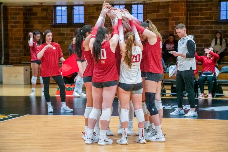 Cougars add new setter one week before season opener