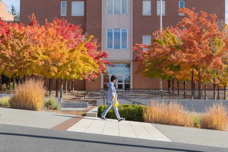 Two new AI tools come to WSU Libraries' SearchIt