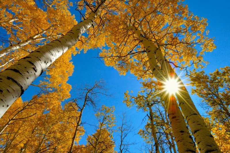 Washington's Fall Is About to Run Hot