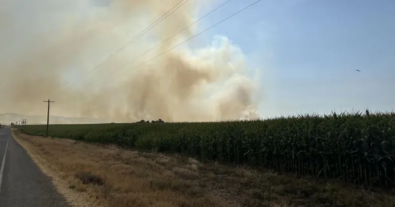 Work wrapping up on Colwash Fire with blaze 95% contained