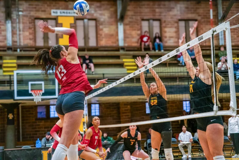 "We're trying to make a statement this weekend": volleyball ready to host Cougar Invitational