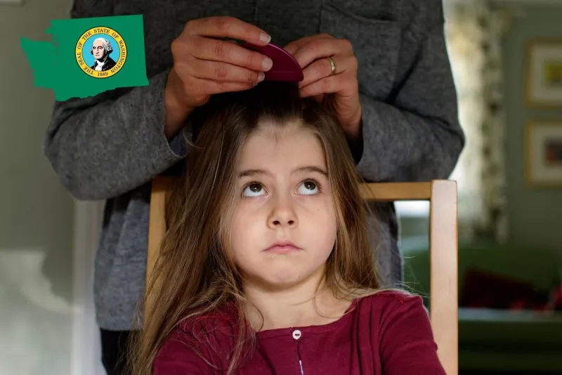 Found Head Lice? Here's What Tri-Cities Parents Should Do Next