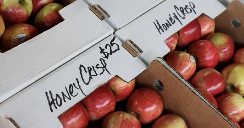 Grant County leads the state in apple orchard acreage
