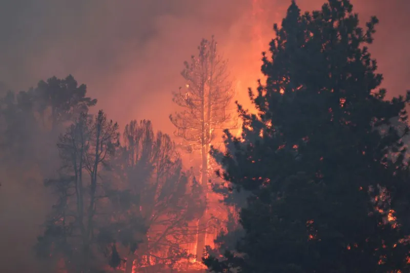 Remains Found in Wildfire-Burned Vehicle Near Chelan Identified