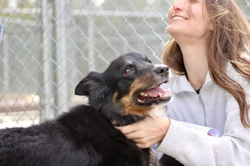 Adoption event at Whitman County Humane Society places shelter animals into open arms