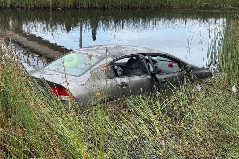Driving Too Fast in Rain Ended with I-5 Driver Crashing into Pond