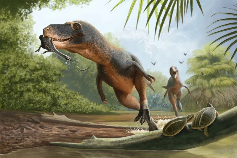 Fossil feathers preserved inside dinosaur poop could help explain why some birds survived the dinosaur mass extinction
