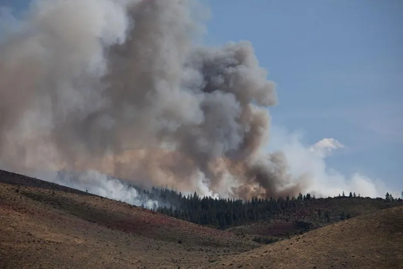 How Much Do Rainstorms 'Help' Against Wildfires? You Might Be Surprised
