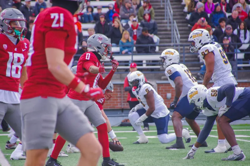 Wildcats strike down the Cougars