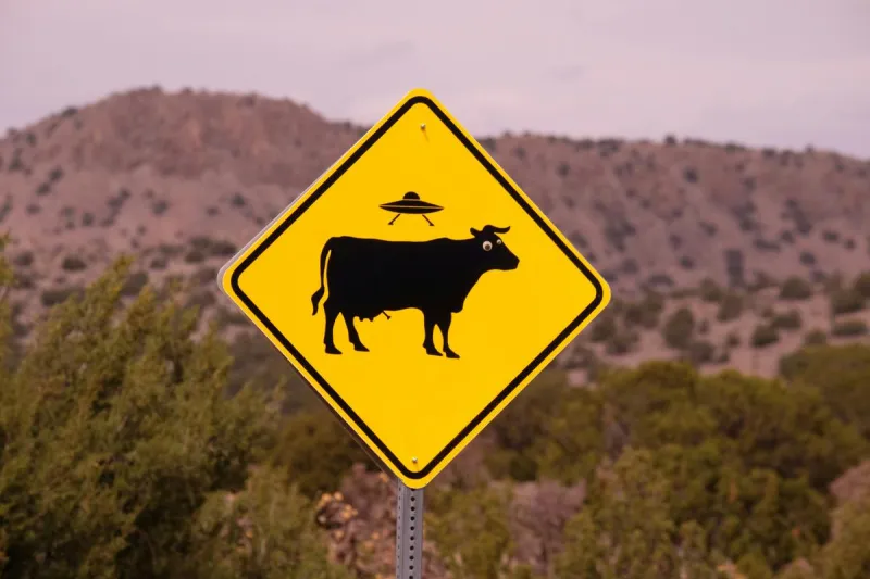 UFO Fever Is Alive & Ranks High in The PNW