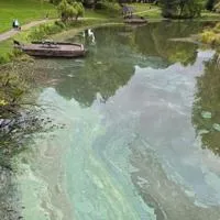 Longview issues advisory after green film surfaces on Lake Sacajawea