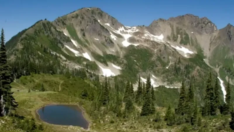 Body of hiker missing for 2 weeks recovered on Mt. Appleton in Olympic National Park