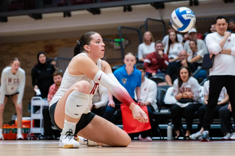 Cougars lose five-set thriller to close out non-conference schedule