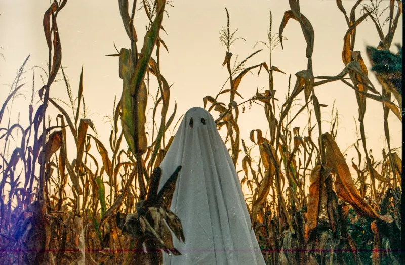 Enter To Win: Curfman's Corn Maze Family 4-Packs!