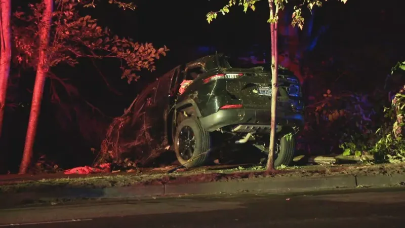 4 people hurt, 1 critically, when car plummets down embankment in Federal Way