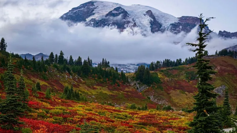 PHOTOS: Autumn's seasonal colors arrive in Western Washington