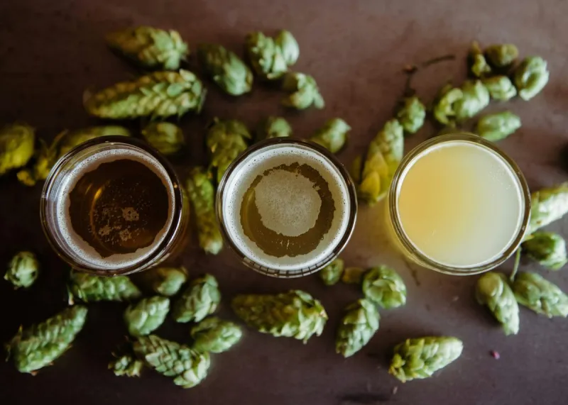 23rd Annual Fresh Hop Ale Festival! Wanna Go?