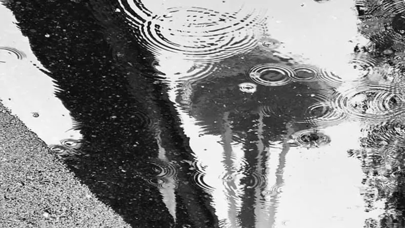 Windy, rainy fall weather arrives Friday before weekend sunshine returns