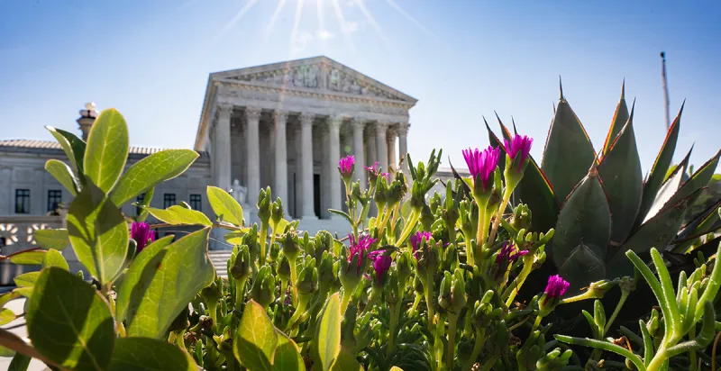Supreme Court lets Trump administration use revamped federal voter eligibility database for now