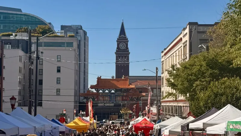 CID Night Market returns with 100 vendors, live shows celebrating Asian culture