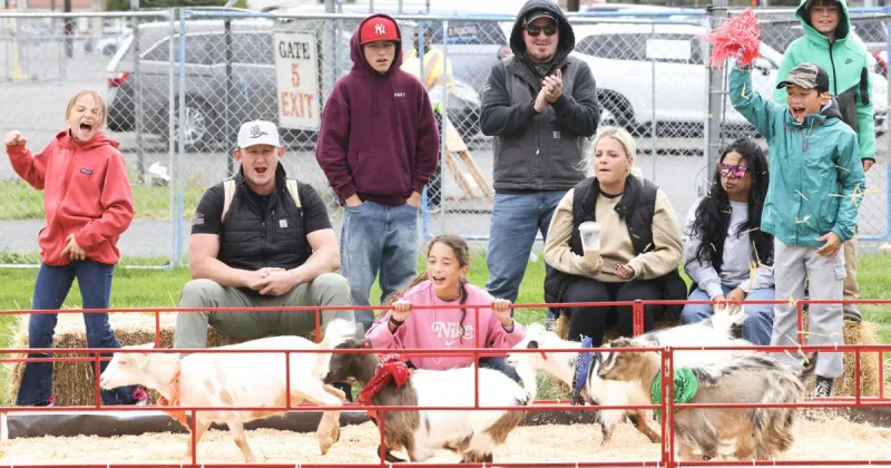 Brisk winds don't deter Central Washington State Fair fans - or stop racing farm animals