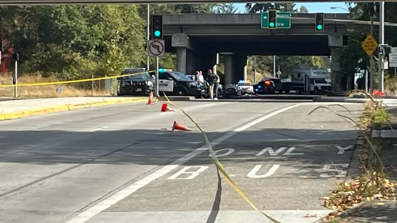 2 killed during drive-by shooting under I-5 overpass in Kent; police on the scene
