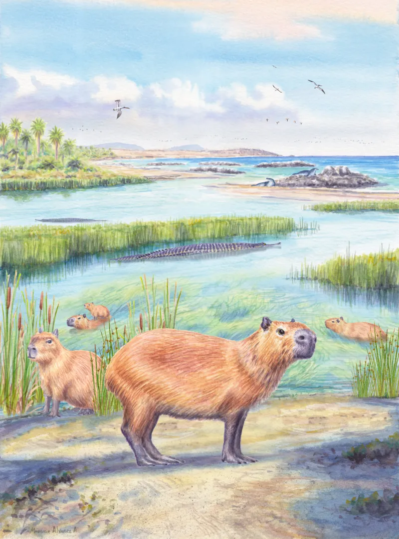 September research highlights: Multitasking microbes, ancient capybaras, the law of the land, more