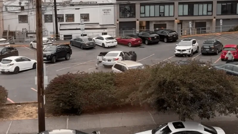 Cell phone video shows brutal West Seattle Attack