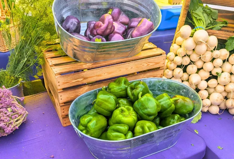 Harvest Peak Tracker: What to Get Now at Yakima Farmers Market
