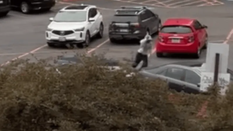 West Seattle assault sparks calls for surveillance, cellphone video