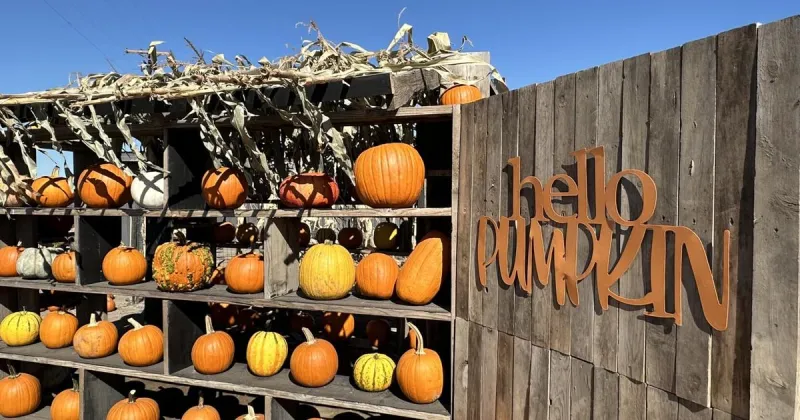 Pumpkin patches and corn mazes open around the Yakima Valley this weekend