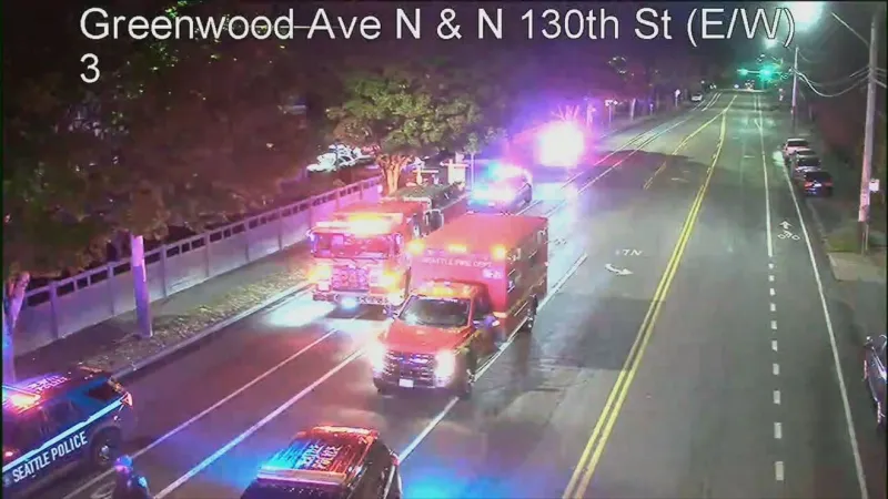 Woman robbed, punched, slashed in North Seattle attack