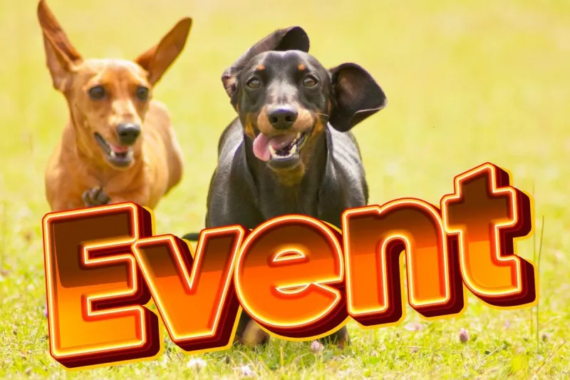 Dachshunds, Costumes and Races: A New Tri-Cities Event