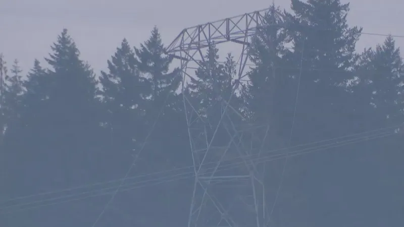 Black Hawk struck power lines before 2025 Thurston County crash that killed 4: report