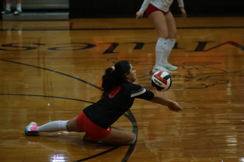 Mules see perfect season end against Comets
