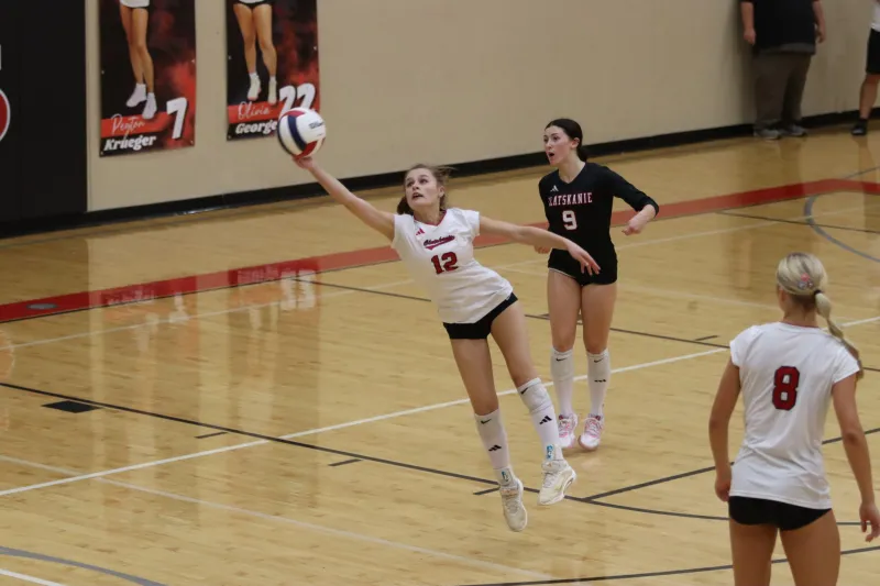 Tigers handle Loggers, Greyhounds