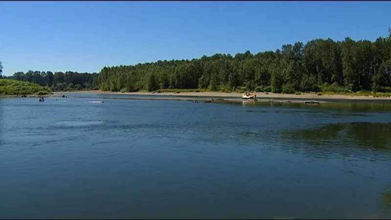 Snohomish River to close to all fishing amid coho return concerns