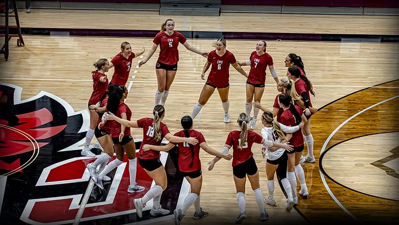 Wildcats Earn Fifth Consecutive Sweep with Win Over Yellowjackets