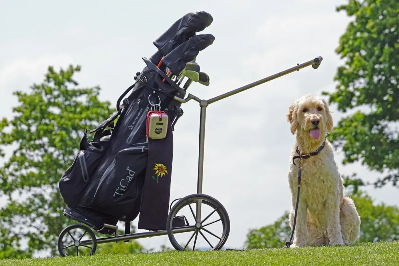 Tee Up for a Good Cause at Putts For Pups in Yakima