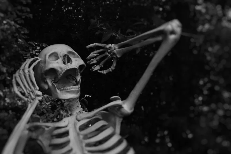 Why This Could Be One of the Best Halloweens in the Tri-Cities