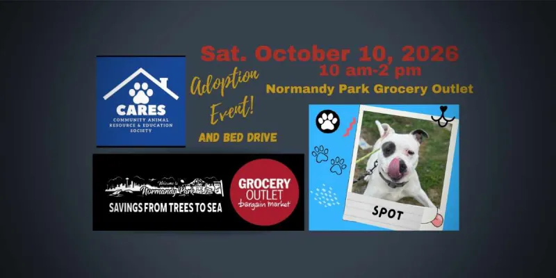 Grocery Outlet Normandy Park hosting adoptable pets and pet bed drive this Saturday, Oct. 10