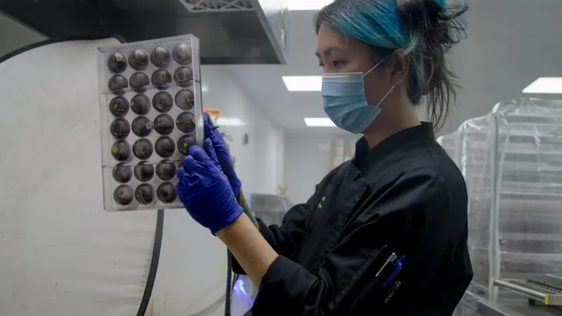 Chocolatier prepares for Choctoberfest, one of Colorado's biggest chocolate festivals