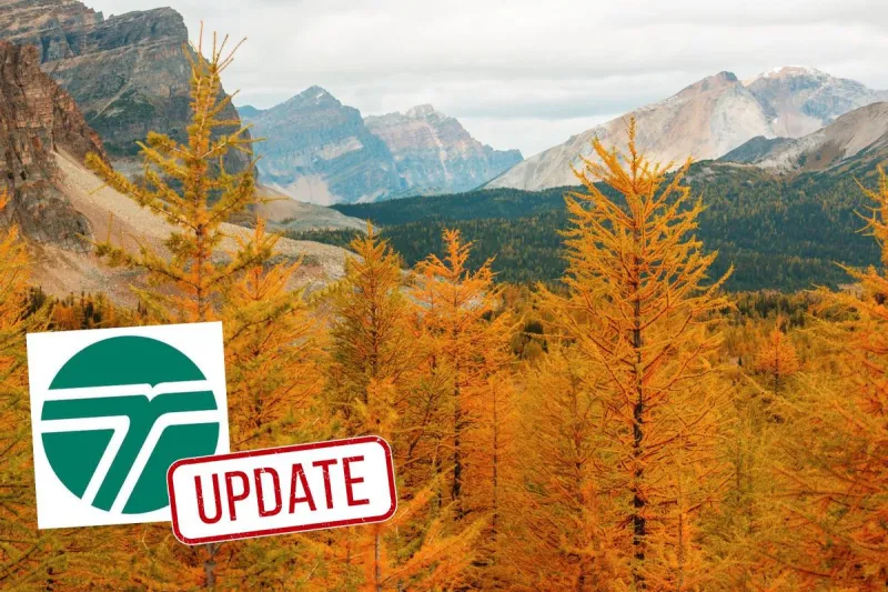 The Great PNW Larch March Is On, but There's a Catch