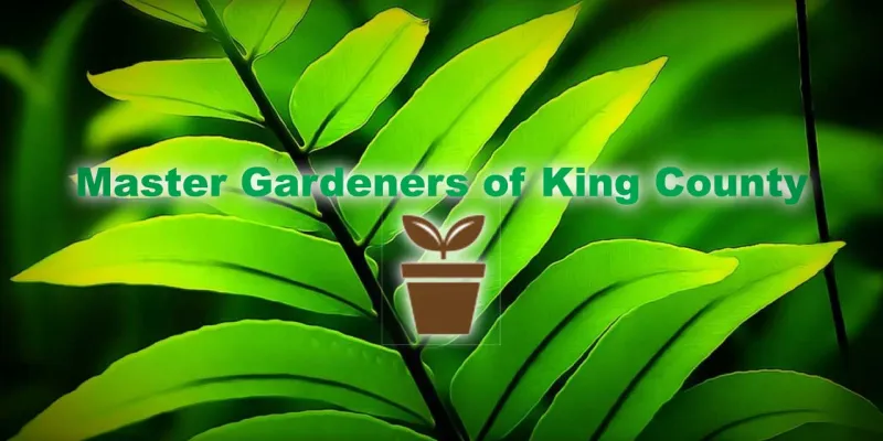 MASTER GARDENERS: Soil is the soul of every garden