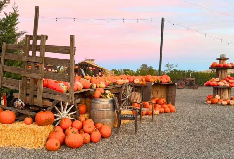 The Ultimate Guide to Yakima Valley's Best Pumpkin Patches