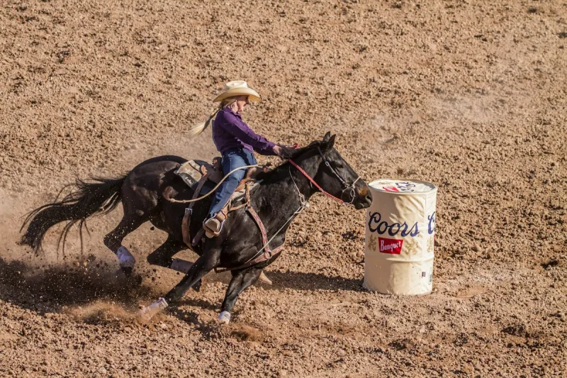 Benton Franklin Fair Breaks Record With Big Win for Local Youth