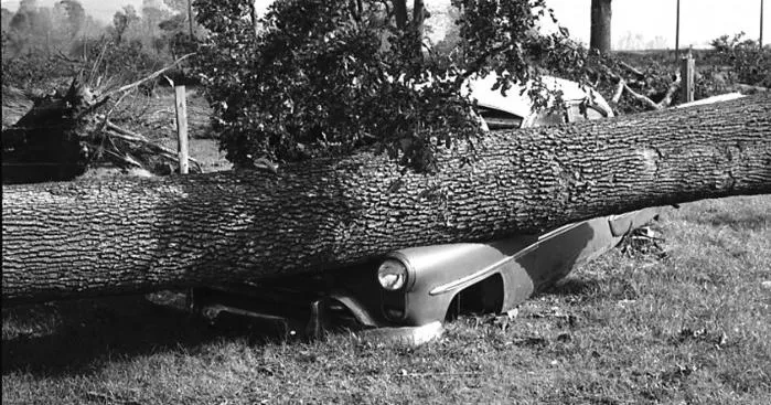 The storm they underestimated: How the 1962 Columbus Day Storm devastated the Northwest