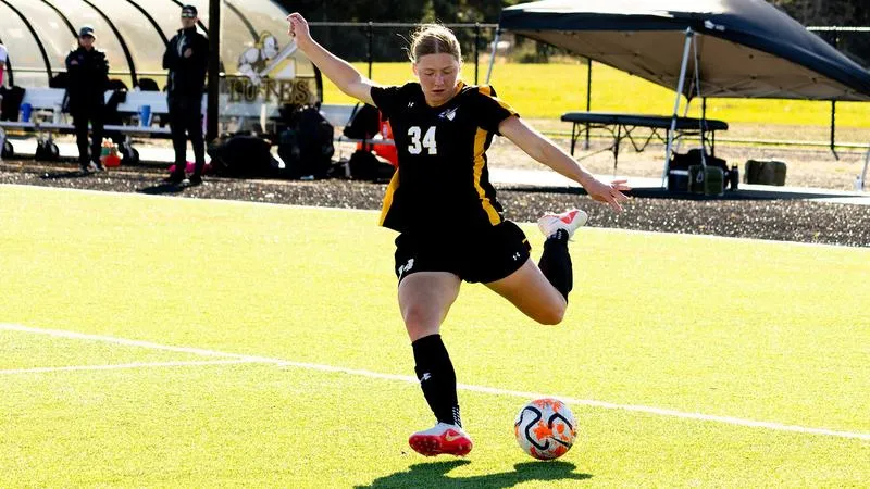 Lutes Sweep NWC Weekly Awards