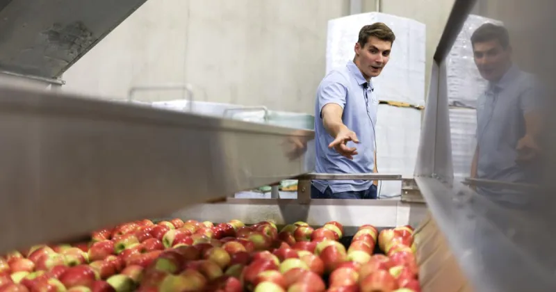 Yakima company combines fruit packing with cutting-edge technology
