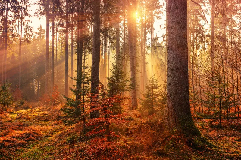 4 Top Washington Autumn Hikes to Try Right Now